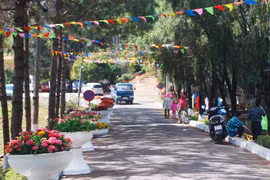 Chi 700 triệu đồng sửa sang Công viên Diên Hồng phục vụ Tết