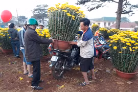 Phố núi hối hả ngày cuối năm