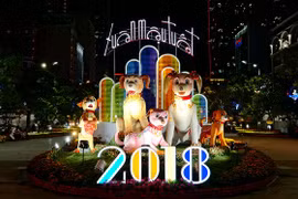 Cận cảnh đường hoa Nguyễn Huệ lung linh trước ngày khai mạc