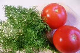 Công dụng chữa bệnh tuyệt vời của rau thì là