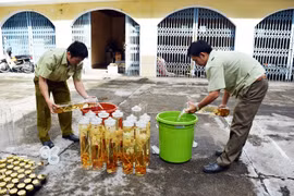 Nhận diện những loại rượu dễ gây ngộ độc cao dịp Tết Nguyên đán