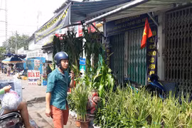 Hoa quả "độc" chưng tết