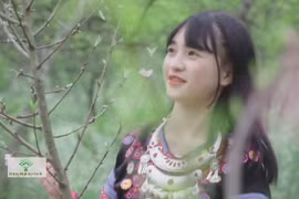 Ngày hội hoa đào trên đỉnh Vân Hồ của người H'mông