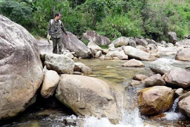 Hành trình tìm loài cá đắng trên dãy Hoàng Liên Sơn