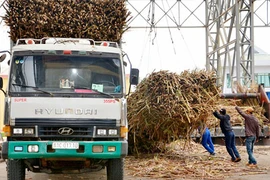 Tuyển gấp lái xe có kinh nghiệm