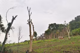 Hoạt động văn hóa-thông tin tập trung hướng về cơ sở