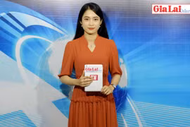 Gia Lai 48h: Phê duyệt kế hoạch tổng thể "Ngày Cà phê Việt Nam"