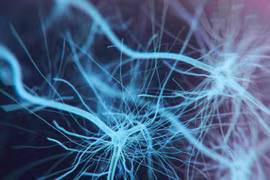 Phát hiện cơ quan mới trong… cơ thể người