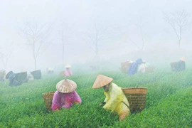 Rót cho cạn mưa miền Thượng