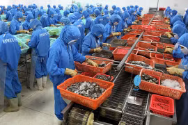 Trung Quốc phá giá Nhân dân tệ, hậu quả đầu tiên dồn xuống Việt Nam