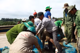 Cả trăm người dân trắng đêm dầm mình trong nước cứu đê ở Đắk Lắk