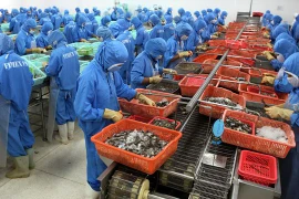 Trung Quốc phá giá Nhân dân tệ, hậu quả đầu tiên dồn xuống Việt Nam