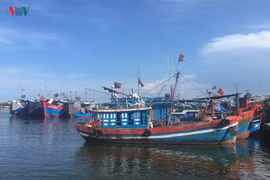 Ngư trường cạn kiệt, tàu cá nằm bờ, ngư dân nợ nần chồng chất