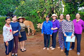 Sôi nổi phong trào phụ nữ Gia Lai thi đua làm theo gương Bác