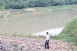 Đak Pơ: Nắng hạn đe dọa vụ mùa