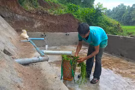 Niềm vui bên giọt nước làng Ktu