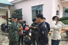 Lâm Đồng: Xâm nhập trái phép Vườn quốc gia Bidoup, tỉnh chỉ đạo nóng