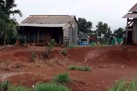 Đắk Nông: Công ty đề xuất trả lại đất sau khi để "mất"... gần 700 ha