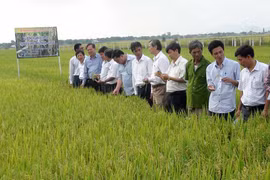 "Thung lũng vàng" chuyển mình