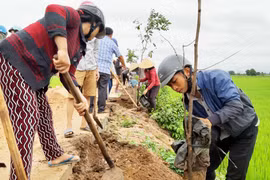 Phú Thiện: Trồng gần 1.000 cây xanh tại lễ phát động trồng cây