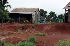 Đắk Nông: Công ty đề xuất trả lại đất sau khi để "mất"... gần 700 ha