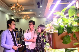 'Xây' vườn trong nhà
