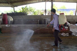 Ayun Pa: 100% xã, phường công bố dịch tả heo Châu Phi