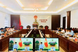 Chú trọng nâng cao an ninh, an toàn hàng không dân dụng