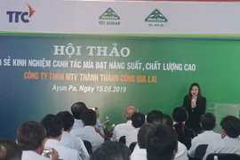 Chia sẻ kinh nghiệm canh tác mía năng suất cao