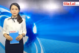 Gia Lai 48h: Triển lãm hàng công nghiệp nông thôn tiêu biểu miền Trung-Tây Nguyên