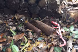 Cưa đạn pháo, 1 người tử vong