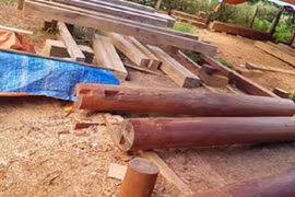 Phát hiện nhiều điểm tập kết gỗ lậu quy mô lớn ở Đắk Lắk