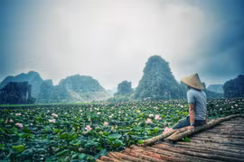 Đầm sen lạ nở rộ giữa thu, giới trẻ rỉ tai nhau "không thể không đi"