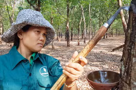 Học Bác từ những điều nhỏ nhất