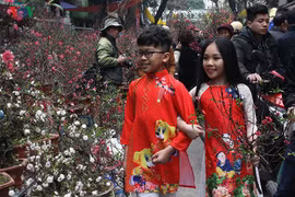 Tết Nguyên đán Canh Tý 2020 người lao động được nghỉ mấy ngày?