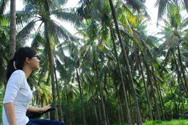 Về nơi không có nắng