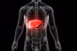 Phát hiện tế bào mới có thể tái tạo gan