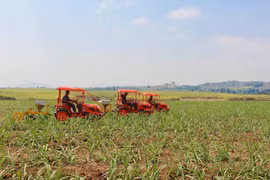 Sức bật "tam nông" - Kỳ cuối: Cần chiến lược dài hơi