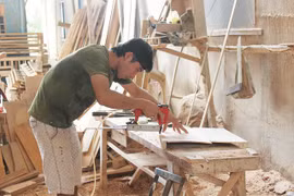 Trung Quốc xuất khẩu lượng lớn gỗ vào Việt Nam, Bộ Nông nghiệp cảnh báo