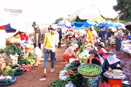 TP. Pleiku xử lý tình trạng mua bán lấn chiếm lòng lề đường