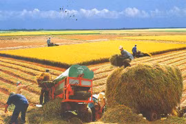 Sức bật "tam nông" - Kỳ 1: Huyện nghèo chuyển mình mạnh mẽ