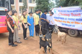 "Đồng hành cùng phụ nữ biên cương" đến với xã Ia Chía