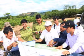 Khảo sát vị trí không thuộc diện tích quy hoạch cho lâm nghiệp huyện Kbang