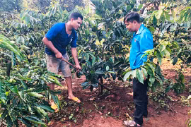 Xây dựng làng thanh niên"2 không 2 có": Cần sự đồng lòng,chung sức