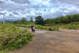 Cây bụi che khuất tầm nhìn