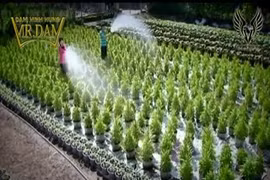 Mùa Xuân Ơi-Dương Triệu Vũ, Tammy Nguyễn