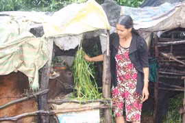 Phụ nữ Chư Pưh thoát nghèo nhờ mô hình "3 biết, 2 hỗ trợ"