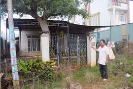 Mất tài sản vì Tòa án ra quyết định thỏa thuận không đầy đủ