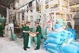 Quân đoàn 3: Gắn tăng gia sản xuất với thực hành tiết kiệm