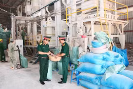 Quân đoàn 3: Gắn tăng gia sản xuất với thực hành tiết kiệm